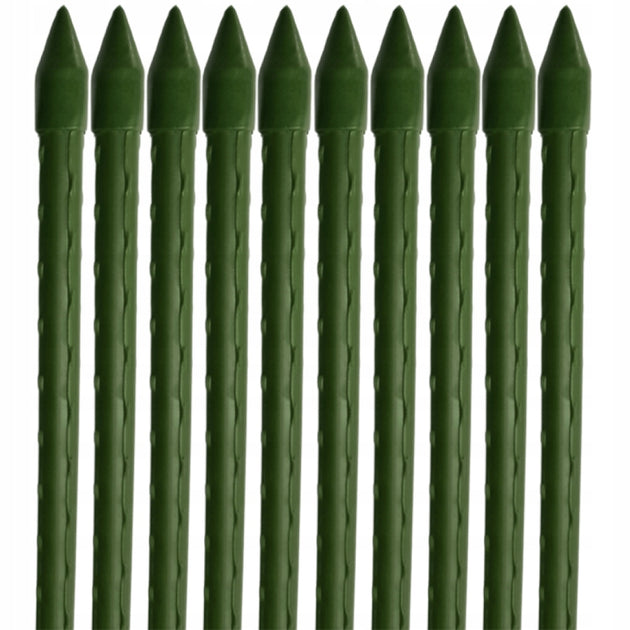 e5b3a44374c9f2c534935f790564d11f