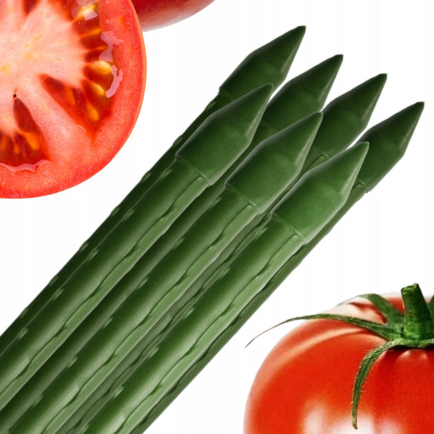 926d103f6880d95314f73dd4495e92ff